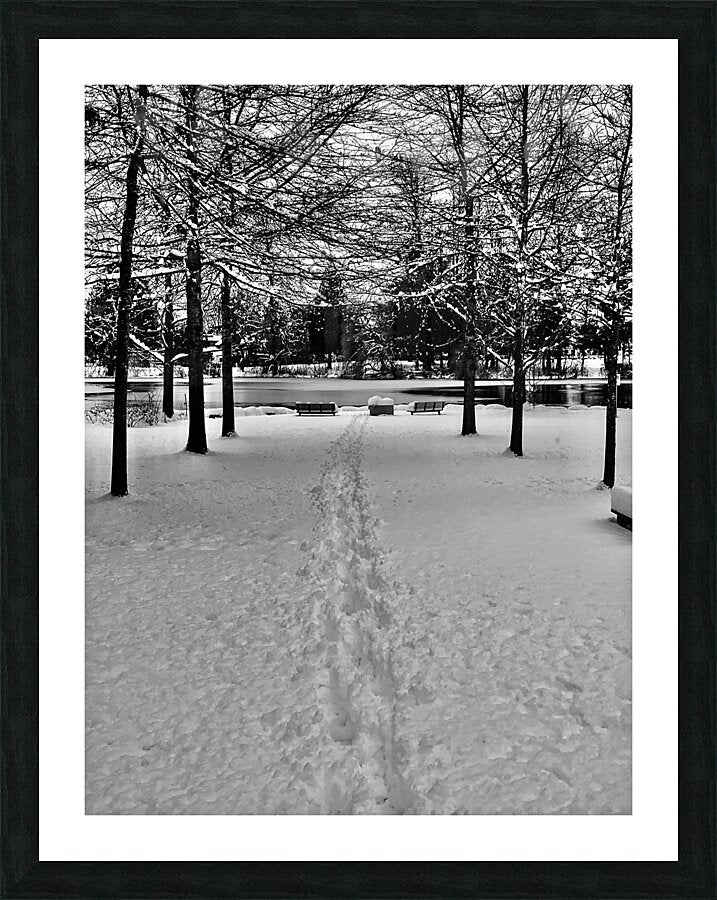 Framed Print