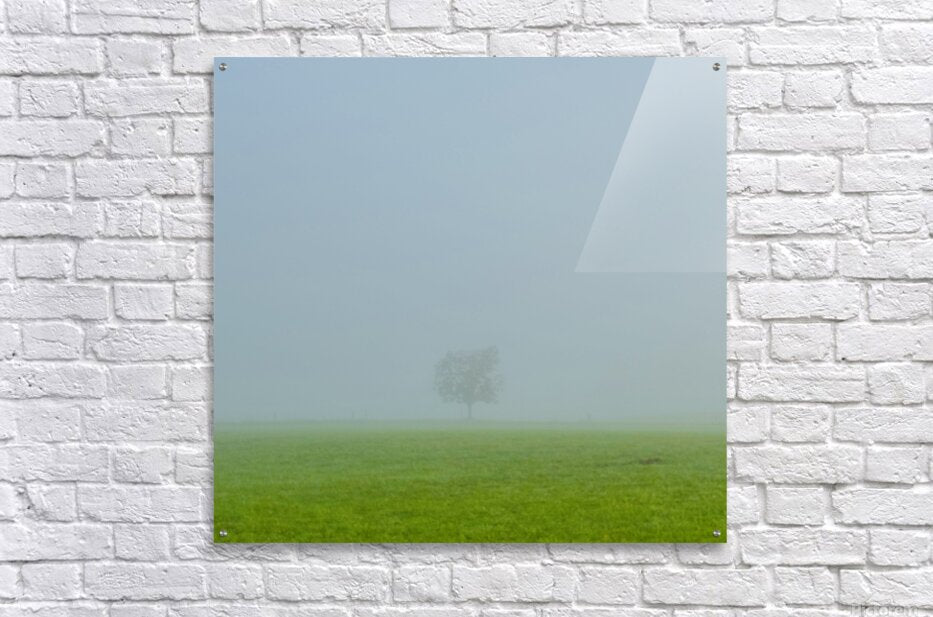 Acrylic Print