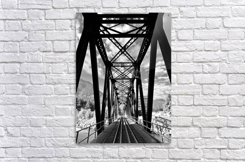 Acrylic Print