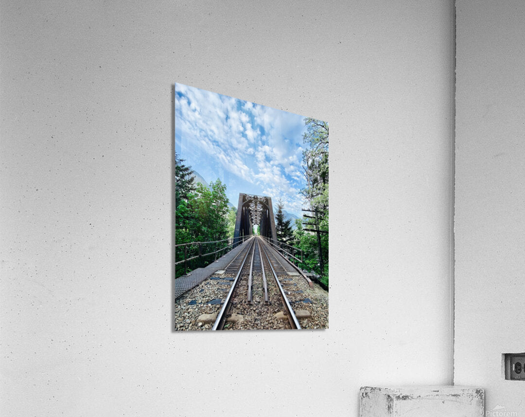 Acrylic Print