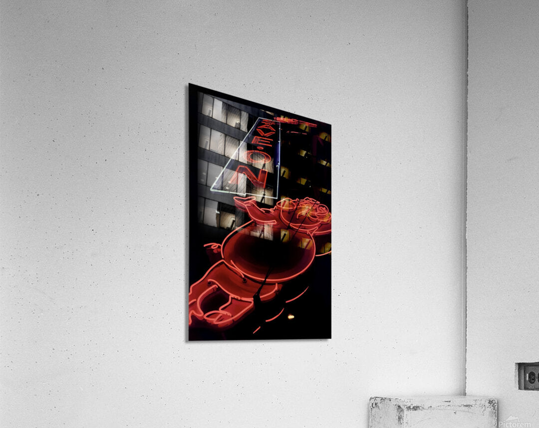 Acrylic Print