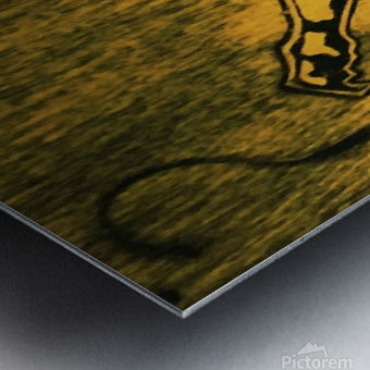 Brushed Metal Print
