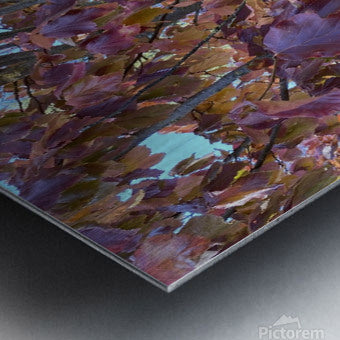 Brushed Metal Print