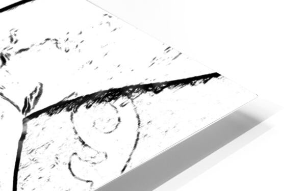 HD Sublimation Metal Print