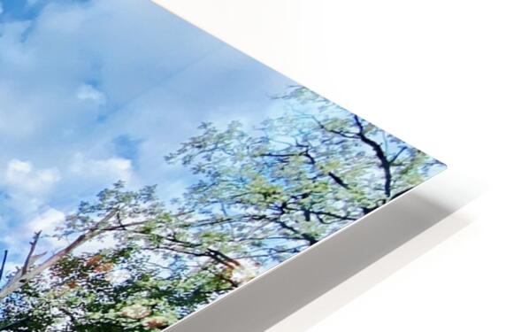 HD Sublimation Metal Print