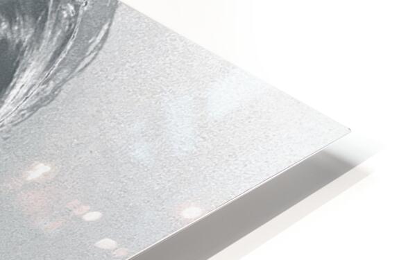 HD Sublimation Metal Print