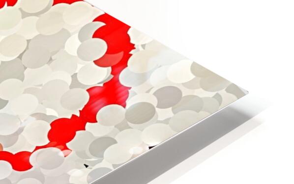 HD Sublimation Metal Print