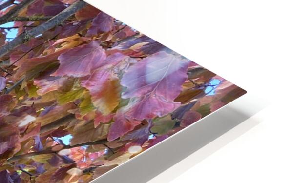 HD Sublimation Metal Print