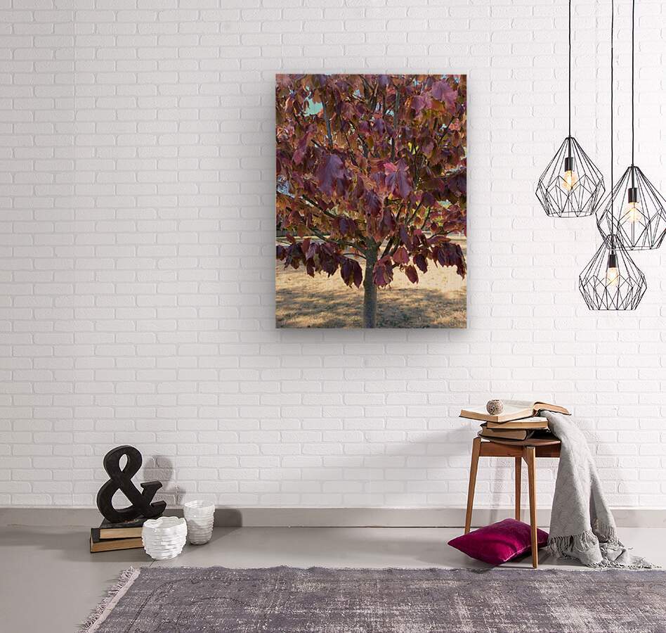 Wood Print