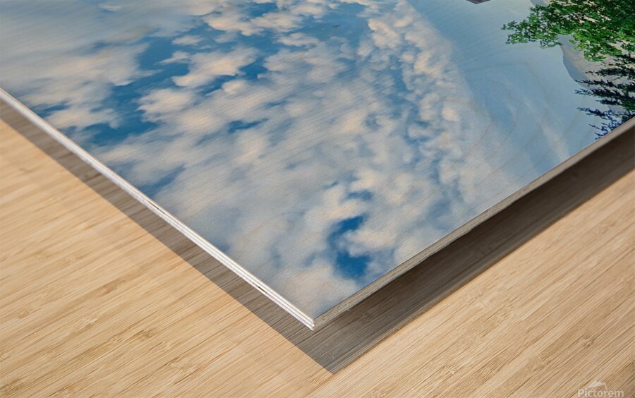 Wood Print