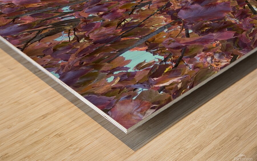 Wood Print