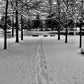 A lonely winters morning.