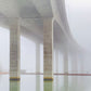 Lost in the fog...