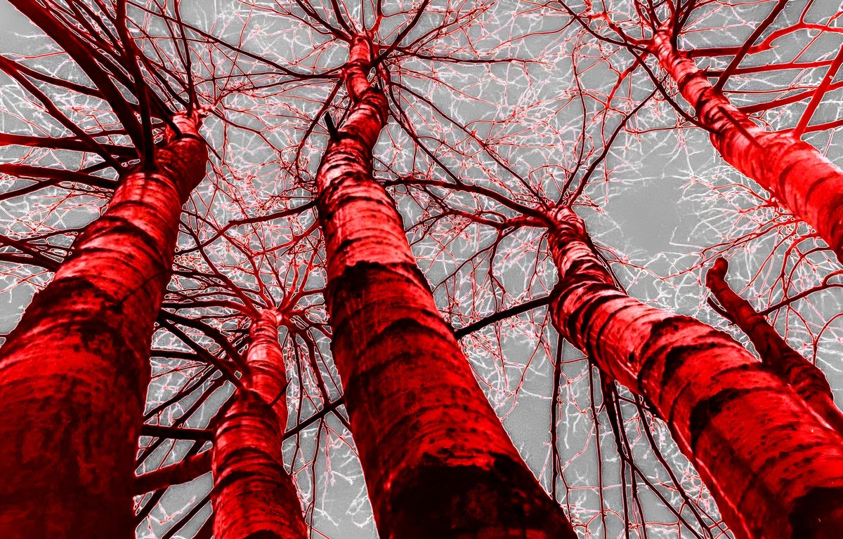 Playing with colour 1