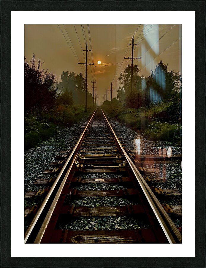 Framed Print