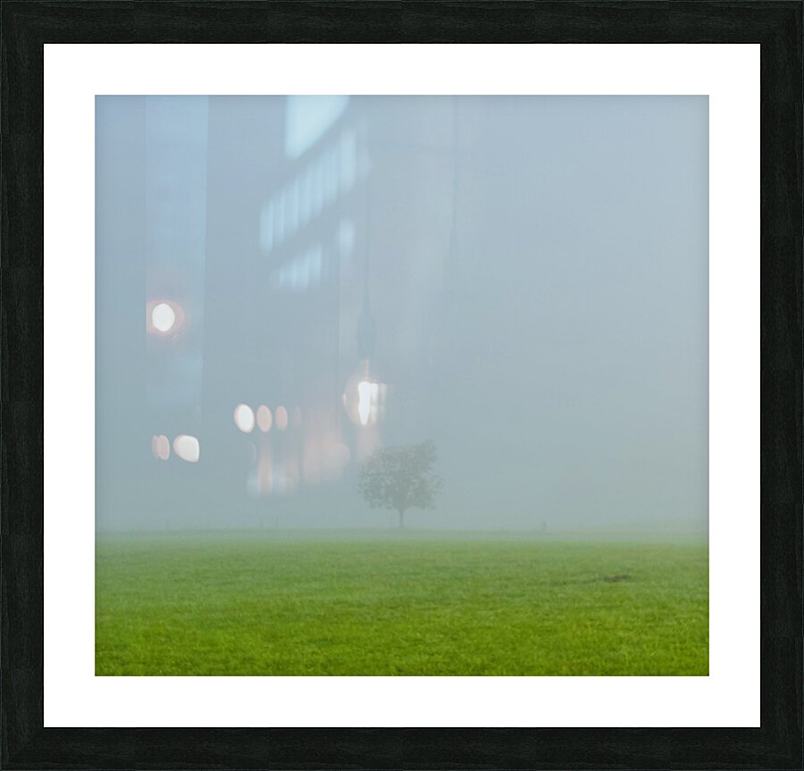Framed Print
