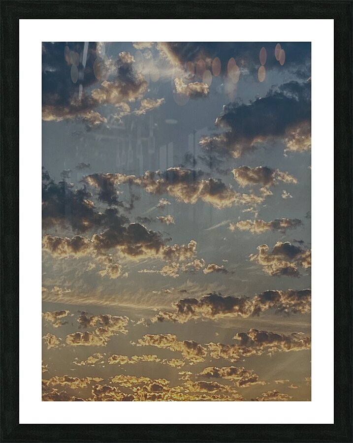 Framed Print
