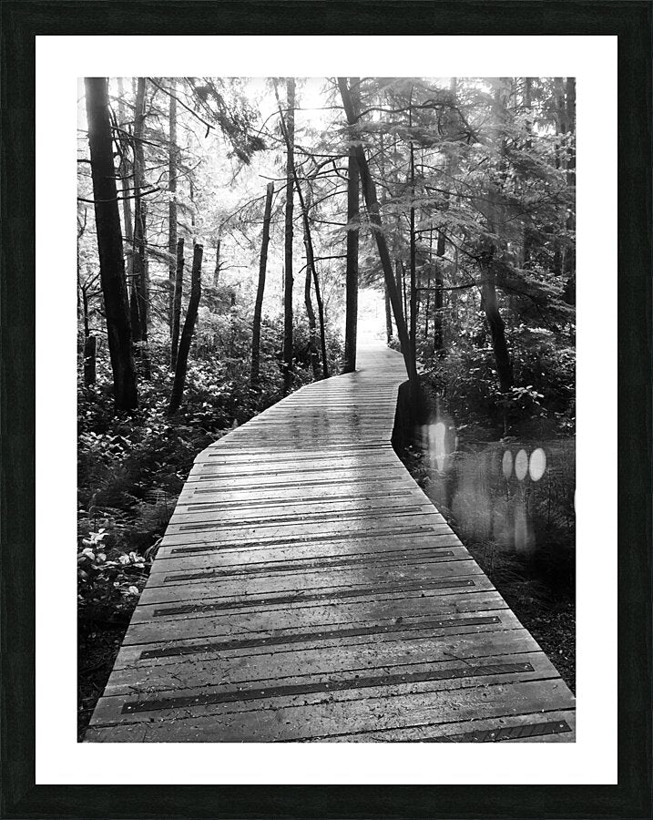 Framed Print