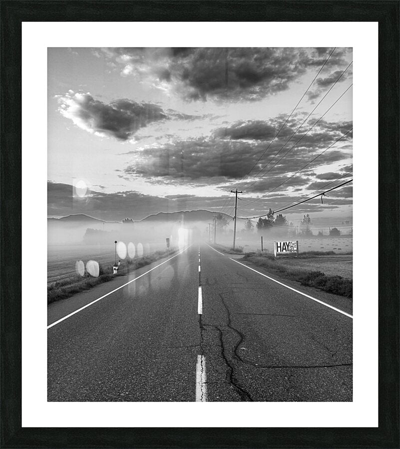 Framed Print