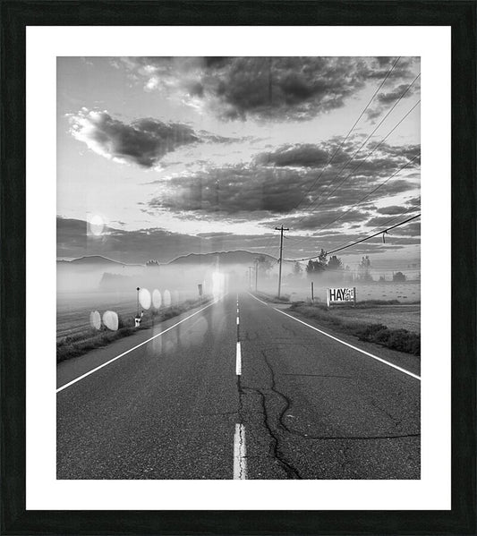 Framed Print