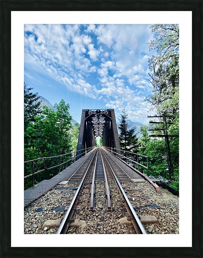 Framed Print