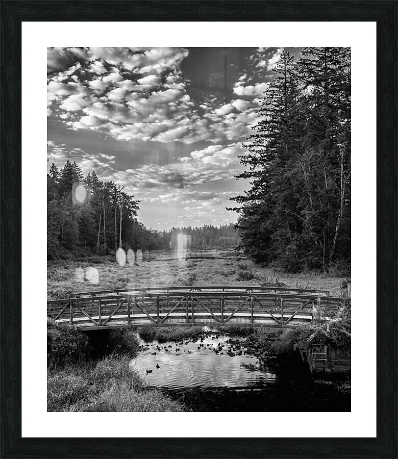 Framed Print