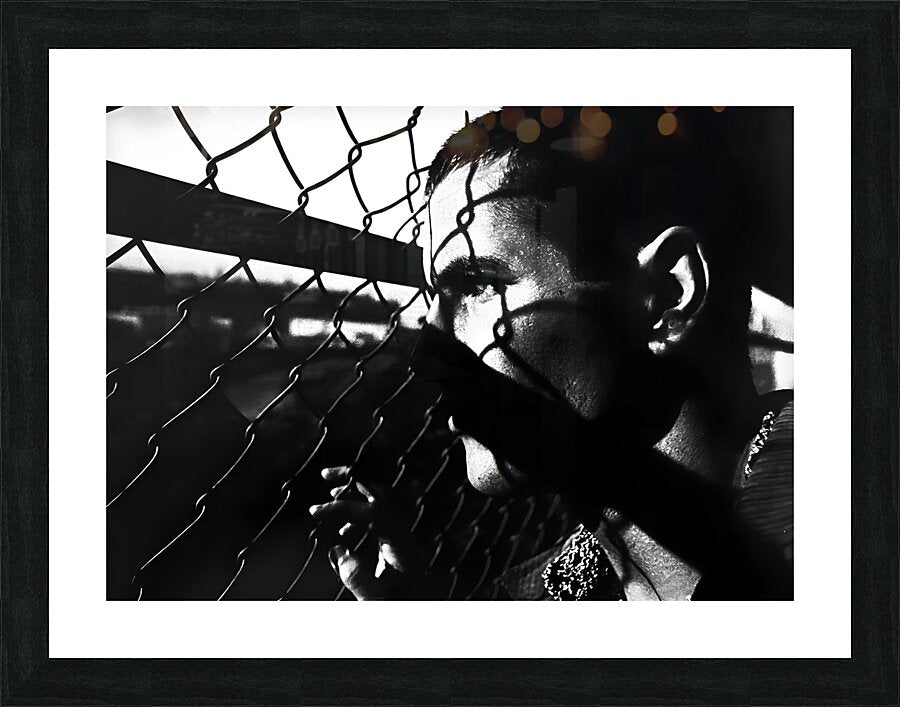 Framed Print