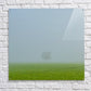 Acrylic Print