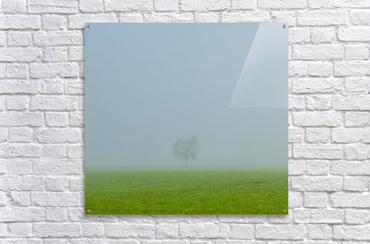Acrylic Print