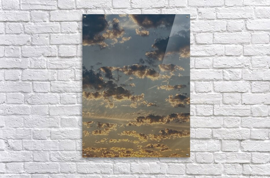 Acrylic Print
