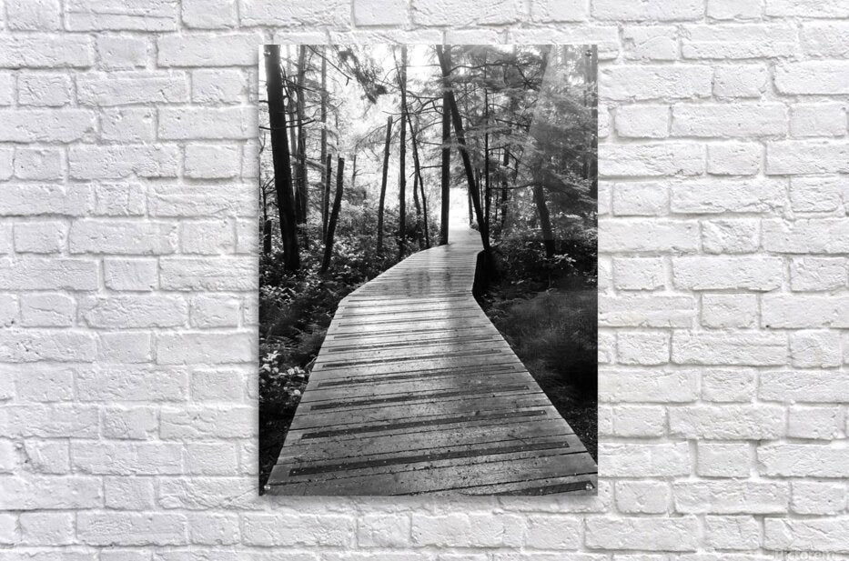 Acrylic Print