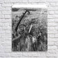 Acrylic Print