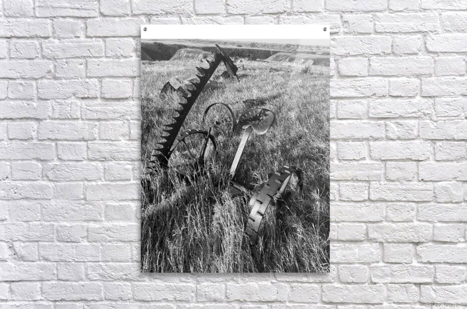 Acrylic Print