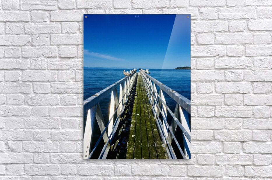 Acrylic Print