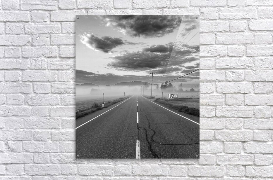 Acrylic Print