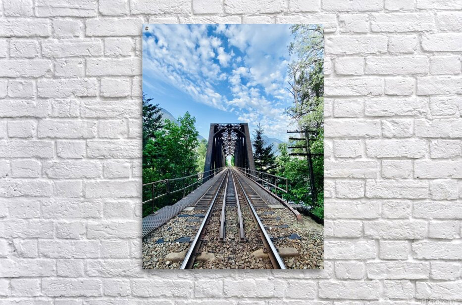 Acrylic Print