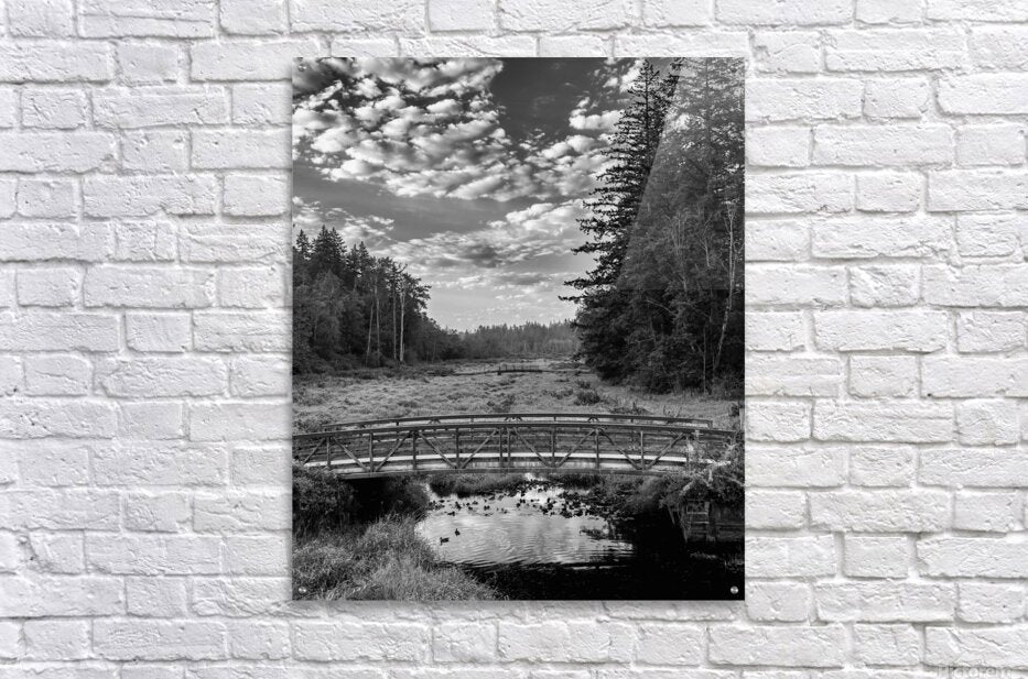 Acrylic Print