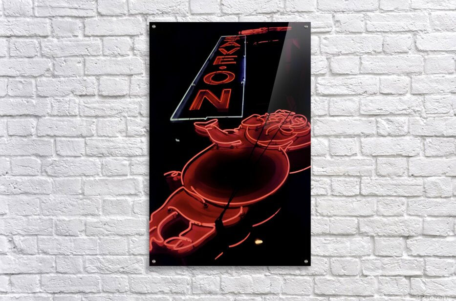 Acrylic Print