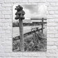Acrylic Print