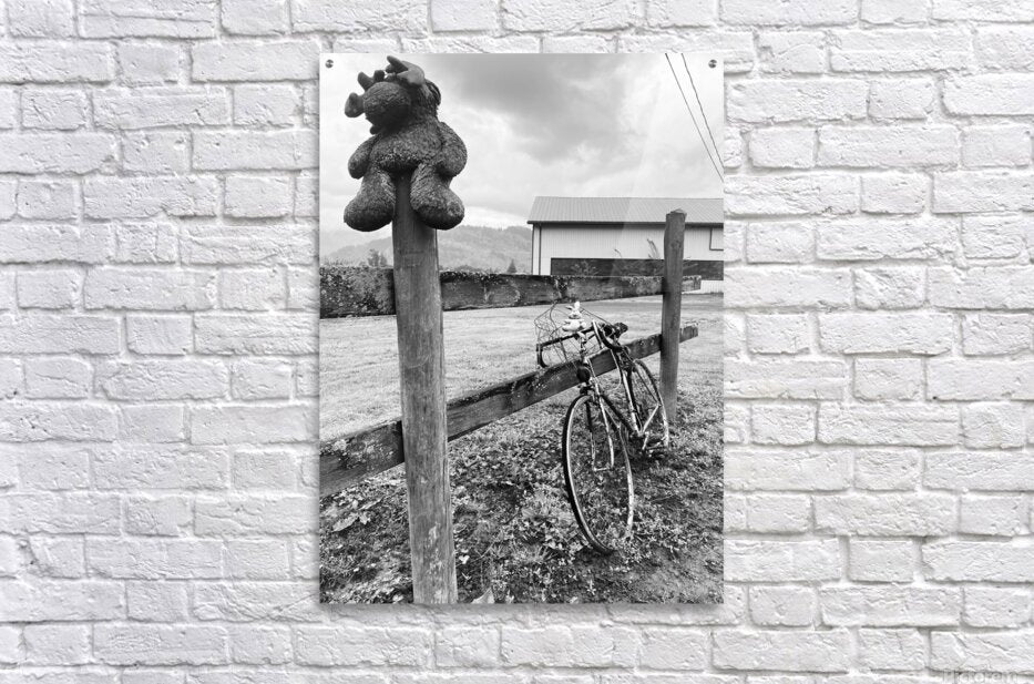 Acrylic Print