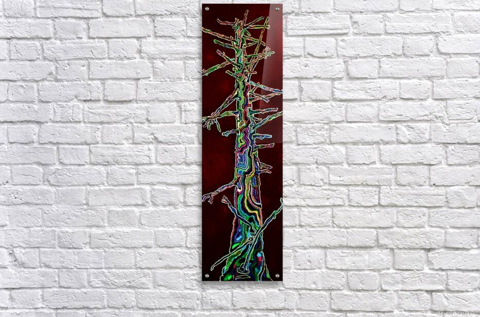 Acrylic Print
