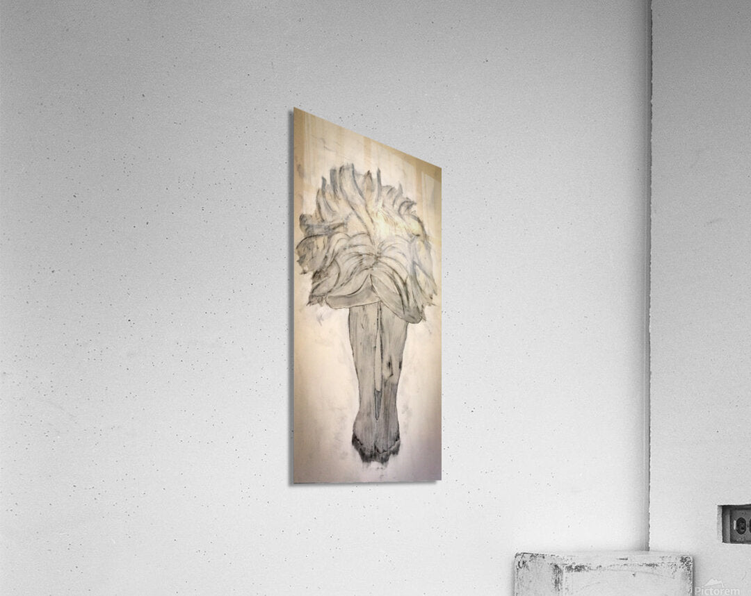 Acrylic Print