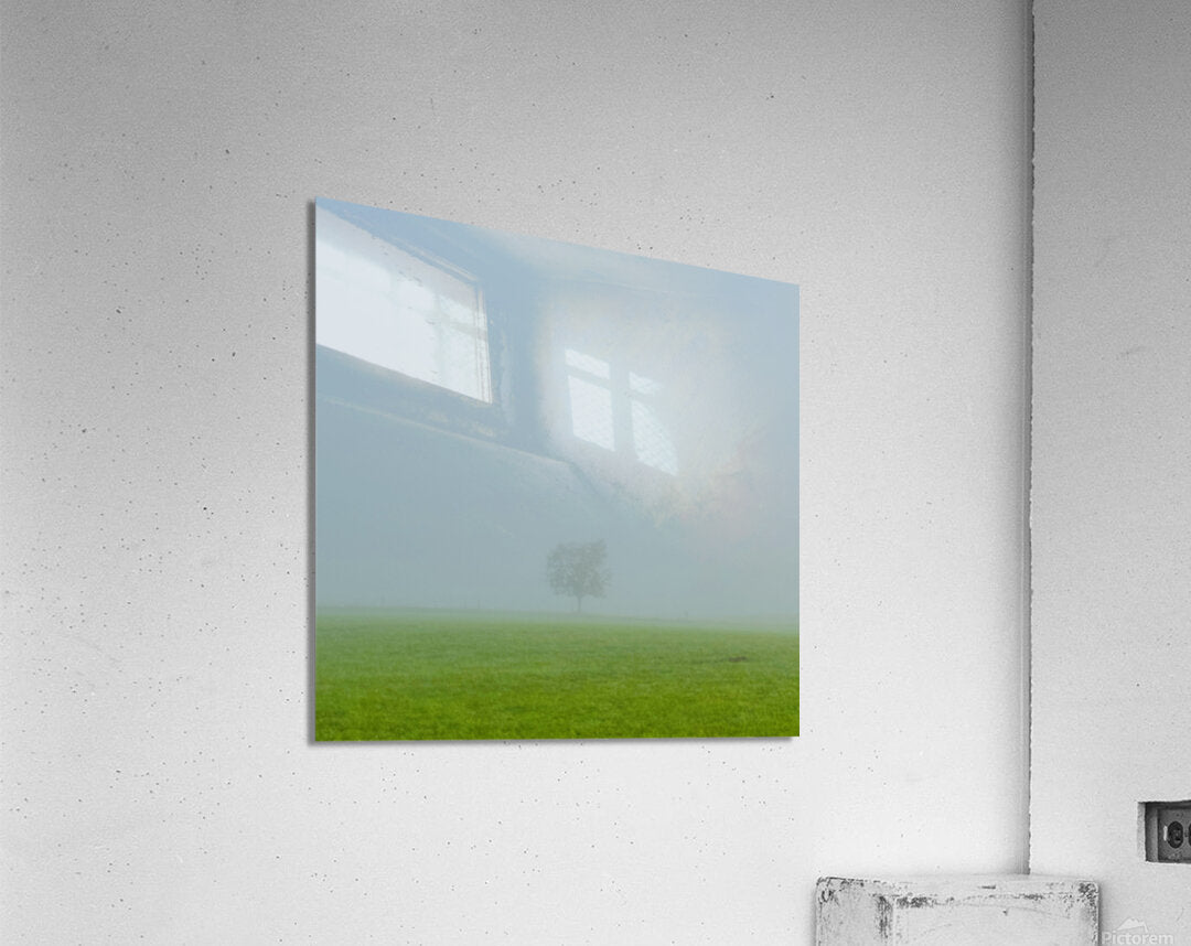 Acrylic Print