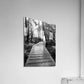 Acrylic Print