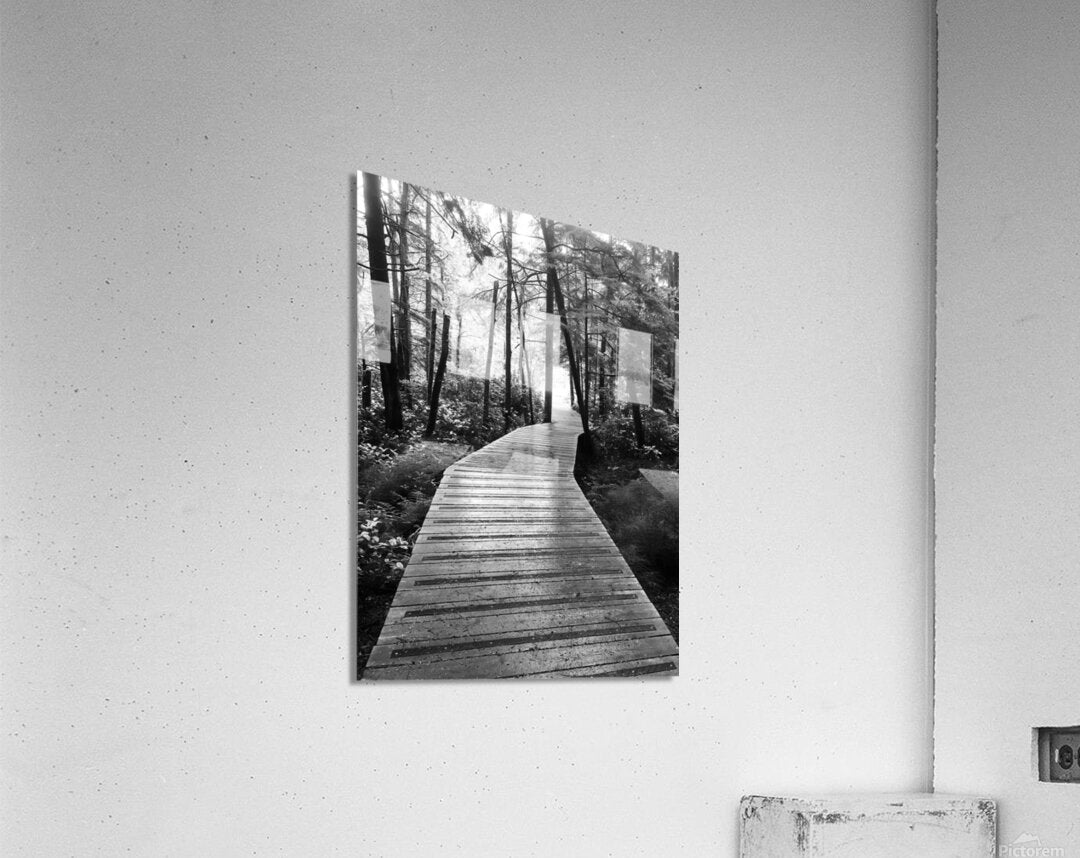 Acrylic Print