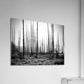 Acrylic Print