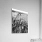 Acrylic Print