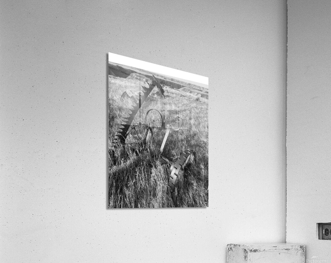 Acrylic Print