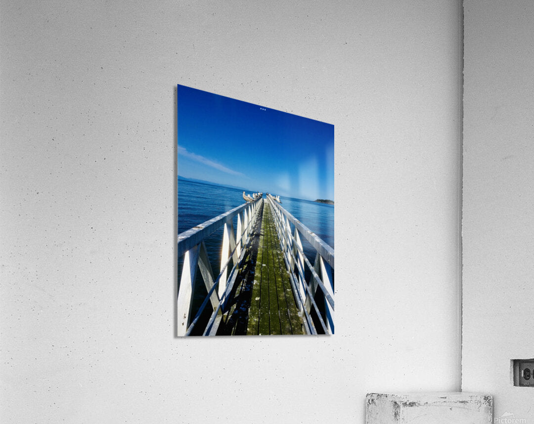 Acrylic Print