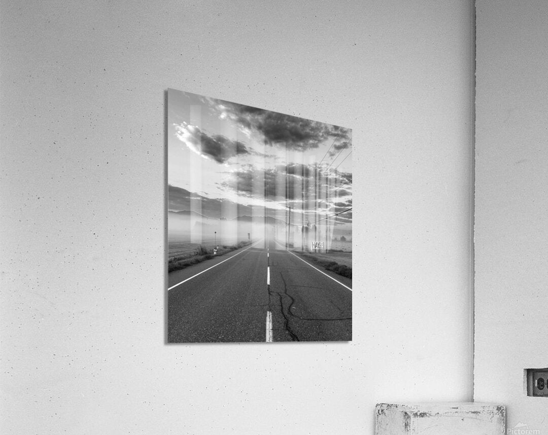 Acrylic Print